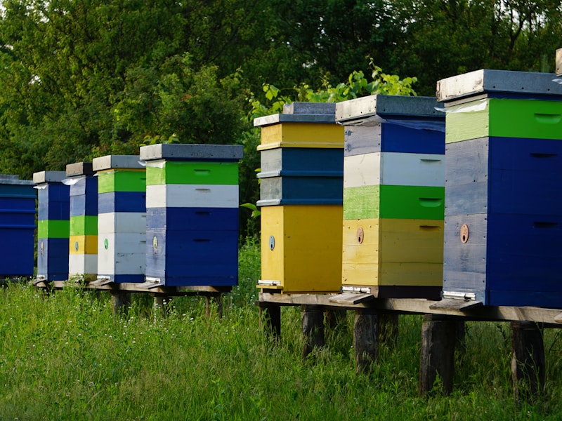 Alertbee - Professional beehive monitoring